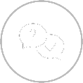 FAQ Icon