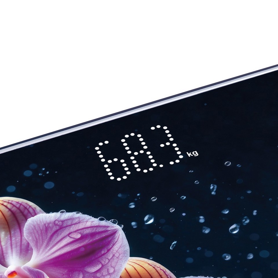 Bilancia Pesapersona digitale